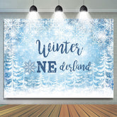 Lofaris Winter One-derland Snowflake Photoshoot Backdrops for Baby Shower